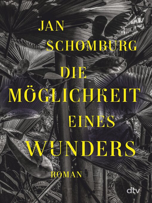 Title details for Die Möglichkeit eines Wunders by Jan Schomburg - Wait list